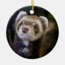 Search for ferret ornaments Animals