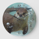 Search for otter clocks Wildlife