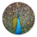 Search for peacock knobs and pulls Teal
