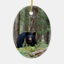 Search for bear ornaments Wild animals