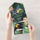 Search for toucan bird invitations Jungle