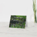 Search for pond turtle cards Nature
