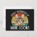 Recherche de maine coon cartes postales Amoureux des chats