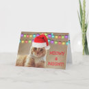 Search for orange tabby cat christmas cards Cute