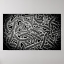 Search for bacteria posters Microorganism