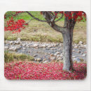 Search for red tree mousepads Autumn