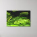 Recherche de tridimensionnel art Biologie moléculaire