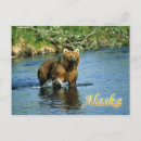Recherche de kodiak alaska cartes postales Brun