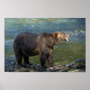 Search for salmon posters British columbia