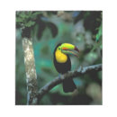 Recherche de habitat blocsnotes Nature