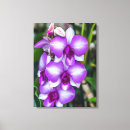 Search for white orchid canvas prints Orchids