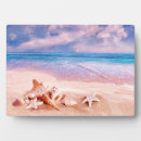 Recherche de paradis plaques Plage