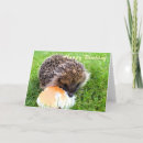 Search for funny hedgehog cards Animal