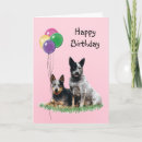 Search for cattle dog birthday cards Animal