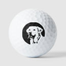 Search for labrador retriever golf balls Pet