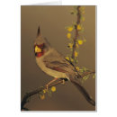 Recherche de cardinalis de cardinalis Nature