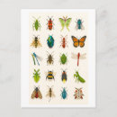 Search for bee illustration postcards Bug