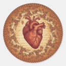Search for anatomical stickers Illustration