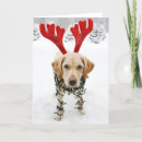 Search for labrador retriever christmas cards Snow