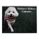 Search for puppy calendars 2025