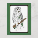 Recherche de owl cartes postales Oiseau