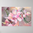 Search for pink orchid posters Orchids