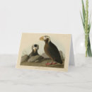 Search for tufted cards Audubon