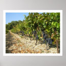 Recherche de établissement vinicole art La france