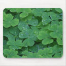 Recherche de shamrock irlandais tapis souris Plante