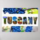 Search for tuscany vineyards posters Italy