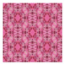 Recherche de amaryllis posters Rose