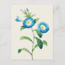 Recherche de redoute cartes postales Fleur