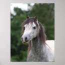 Search for welsh pony art Bob langrish