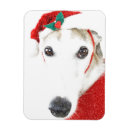 Recherche de greyhound christmas cards Animal