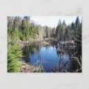 Search for lac postcards Park