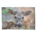 Search for deer pillowcases Animals in the wild