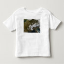 Search for snow cloud tshirts Clouds