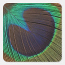Search for peacock feather stickers Animals