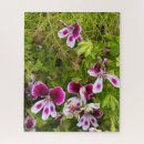Recherche de parfum puzzles Floral
