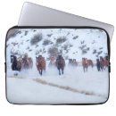 Search for quarter horses electronics Danita delimont