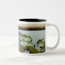 Recherche de étangs tasses Lac