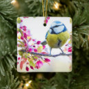 Recherche de joli oiseau ornements Nature