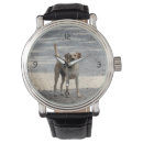 Search for lab watches Dog