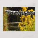 Search for aspen colorado postcards Fall