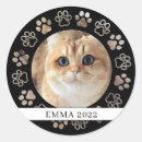 Search for cat photo stickers Simple