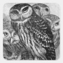 Search for black and white owl stickers Halloween