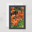 Search for tiger thank you cards Flower