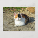 Recherche de felix le chat posters Félin