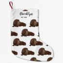 Recherche de mammifère chaussette de noël Océan