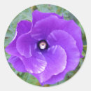 Search for deep purple stickers Flower